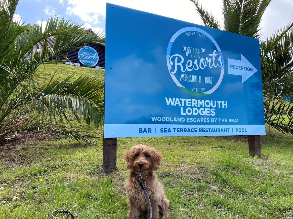 Watermouth Lodges Ilfracombe Exteriör bild