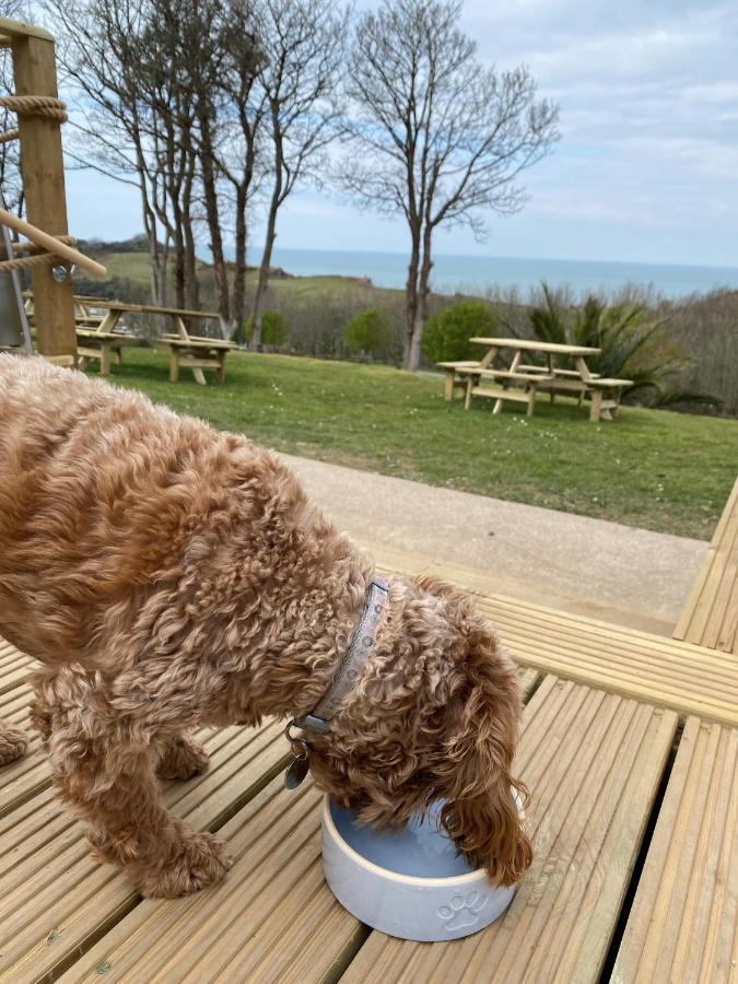 Watermouth Lodges Ilfracombe Exteriör bild